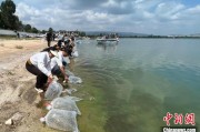 江阴云南江川举行增殖放流活动 逾54万尾鱼游入星云湖